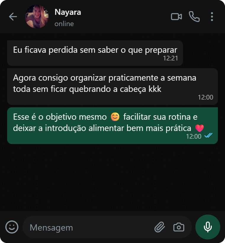 Conversa com Nayara sobre organizar a semana e facilitar a introdução alimentar